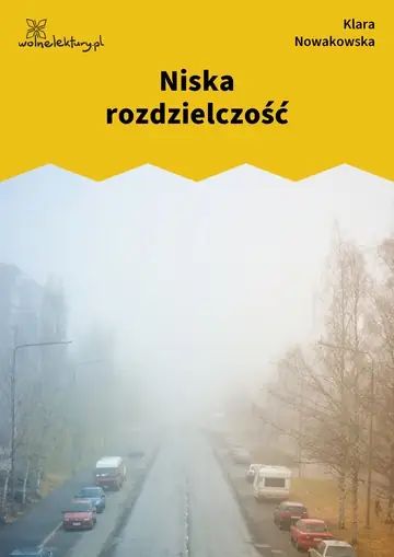 Niska rozdzielczość