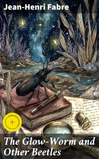 The Glow-Worm and Other Beetles