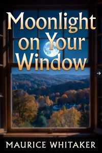 Moonlight On Your Window