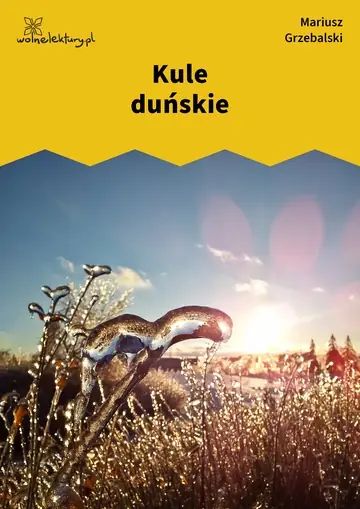 Kule duńskie