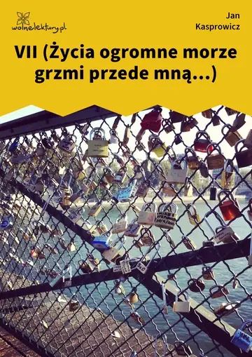 VII (Życia ogromne morze grzmi przede mną...)