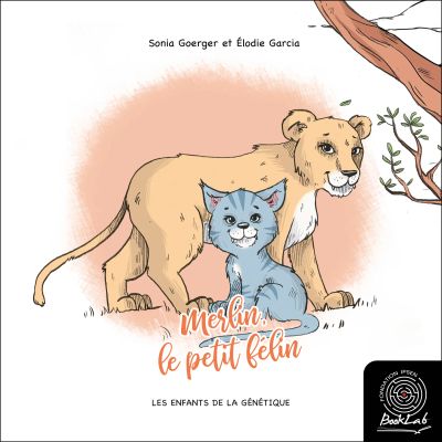 Merlin, le petit félin