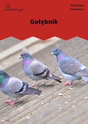 Gołębnik