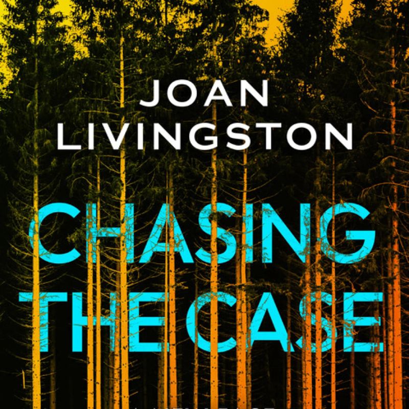 Chasing the Case