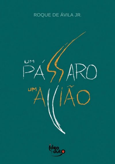 Um Pássaro, Um Avião
