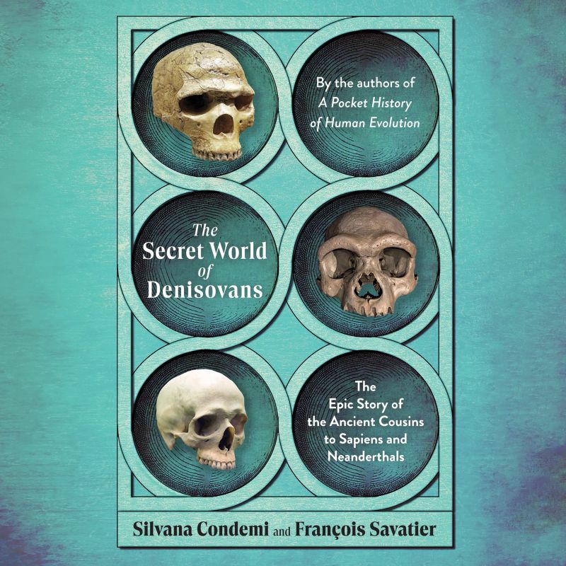The Secret World of Denisovans