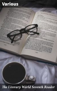 The Literary World Seventh Reader