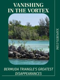 Vanishing in the Vortex