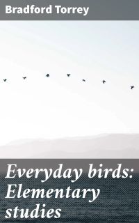 Everyday birds: Elementary studies
