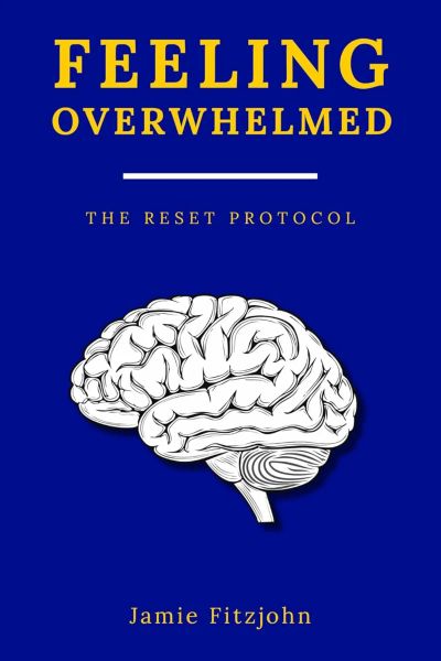 Feeling Overwhelmed: The Reset Protocol