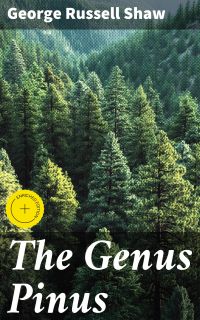 The Genus Pinus