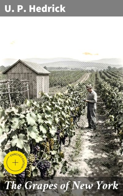 The Grapes of New York