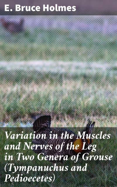 Variation in the Muscles and Nerves of the Leg in Two Genera of Grouse (Tympanuchus and Pedioecetes)