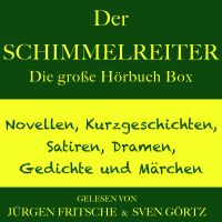 Der Schimmelreiter – sowie zahlreiche weitere Meisterwerke der Weltliteratur