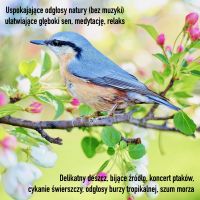 Uspokajające odgłosy natury (bez muzyki) ułatwiające głęboki sen, medytację, relaks