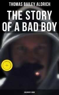 The Story of a Bad Boy (Children's Book)