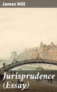 Jurisprudence (Essay)