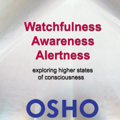 Watchfulness Awareness Alertness