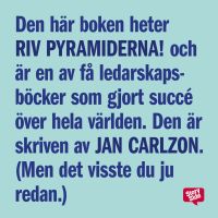 Riv pyramiderna - en bok om den nya människan, chefen och ledaren