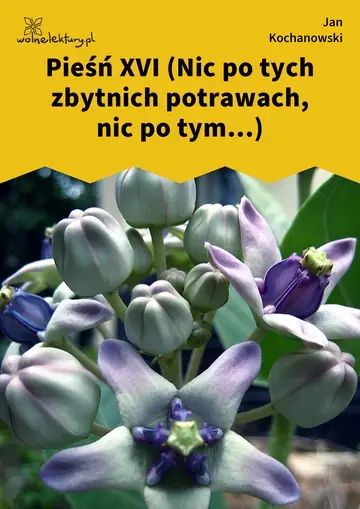 Pieśń XVI (Nic po tych zbytnich potrawach, nic po tym...)
