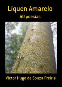 Líquen Amarelo