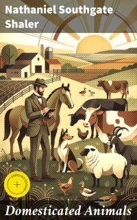 Domesticated Animals