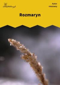 Rozmaryn