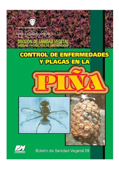 Control de enfermedades y plagas en la piña
