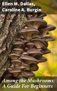Among the Mushrooms: A Guide For Beginners