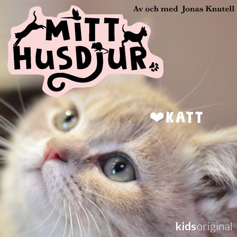 Mitt husdjur: Sköldpadda