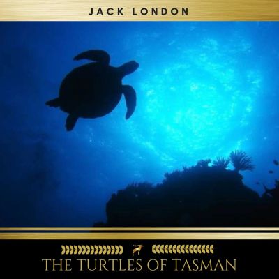 The Turtles of Tasman
