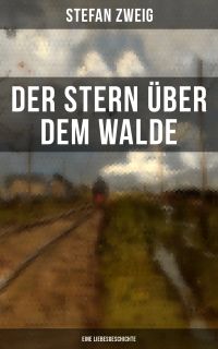 Der Stern über dem Walde: Eine Liebesgeschichte