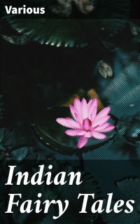 Indian Fairy Tales