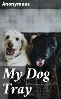 My Dog Tray
