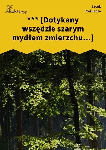 *** [Dotykany wszędzie szarym mydłem zmierzchu...]