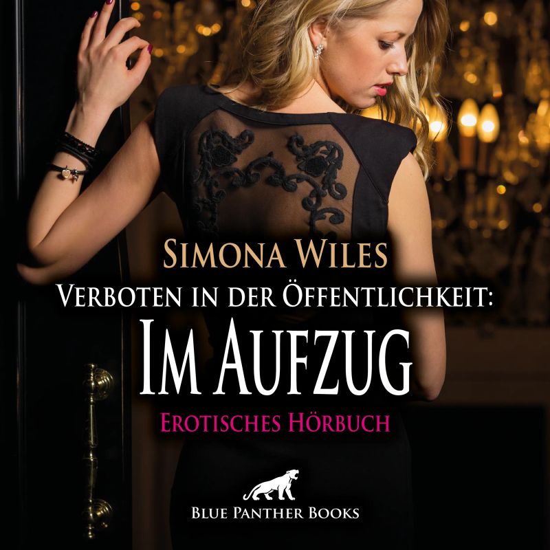Verboten in der Öffentlichkeit: Im Aufzug / Erotische Geschichte