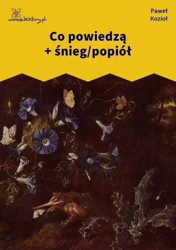 Co powiedzą + śnieg/popiół