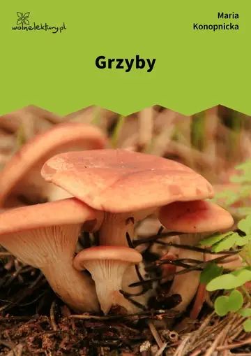 Grzyby