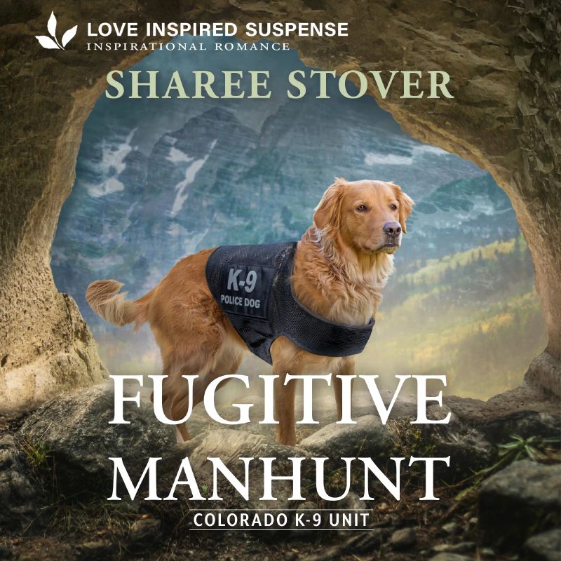 Fugitive Manhunt