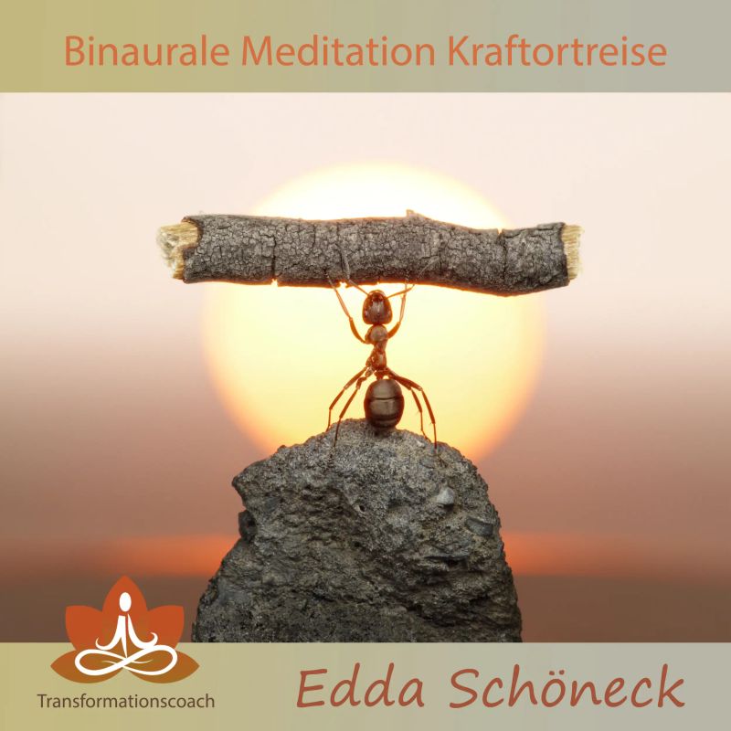 Binaurale Meditation Kraftortreise