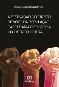 A efetivação do direito de voto da população carcerária provisória do Distrito Federal