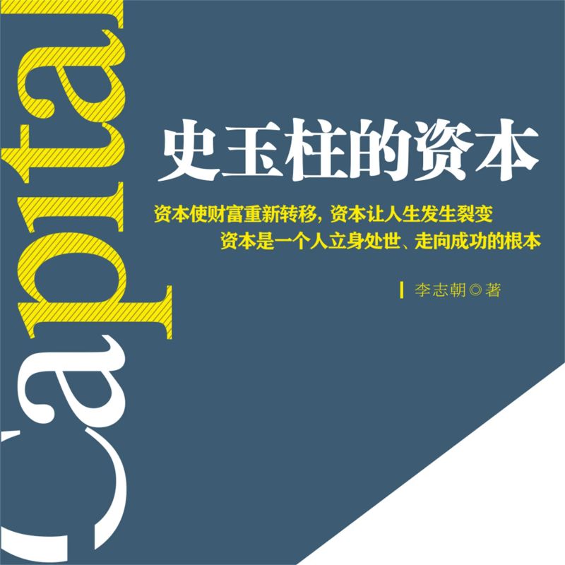 史玉柱的资本