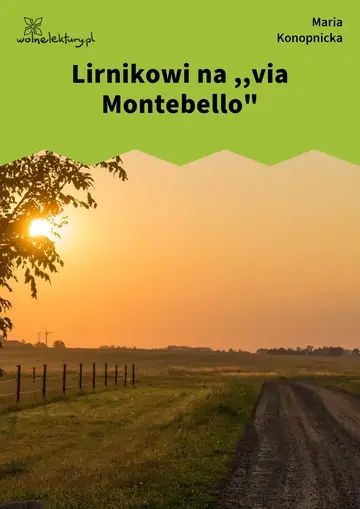 Lirnikowi na ,,via Montebello"