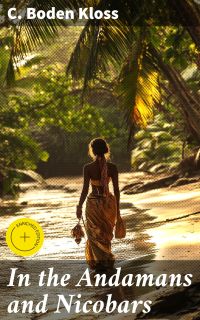 In the Andamans and Nicobars