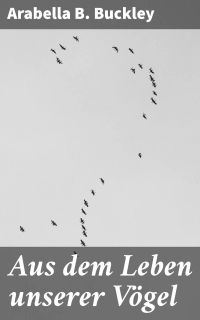 Aus dem Leben unserer Vögel