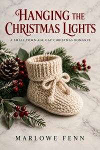 Hanging the Christmas Lights