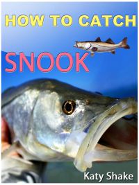 How To Catch Snook