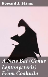 A New Bat (Genus Leptonycteris) From Coahuila