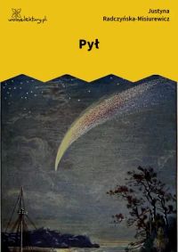 Pył