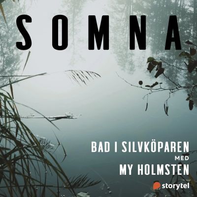 Bad i Silvköparen